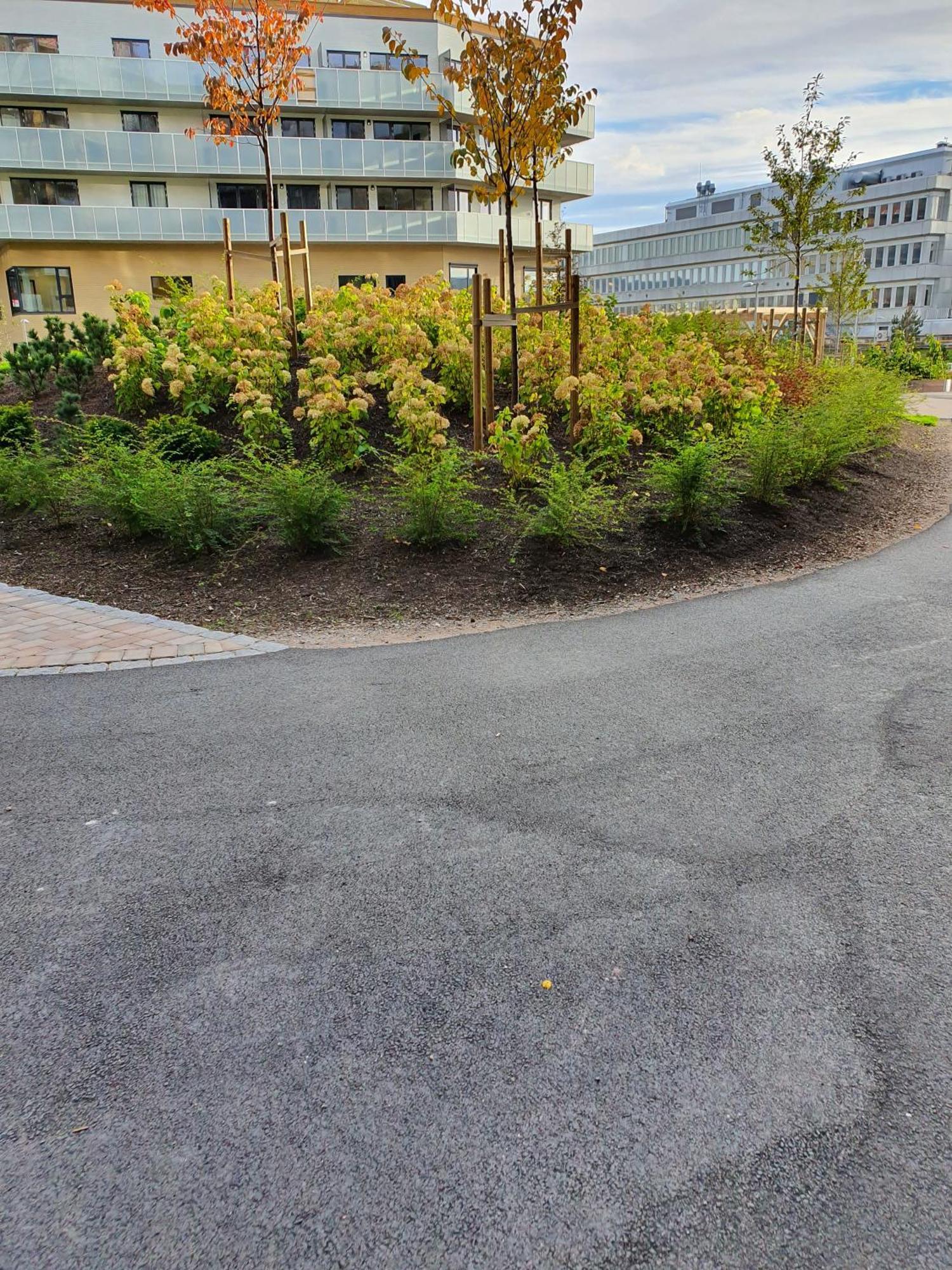 Homestay Touristic Choice Of Oslo